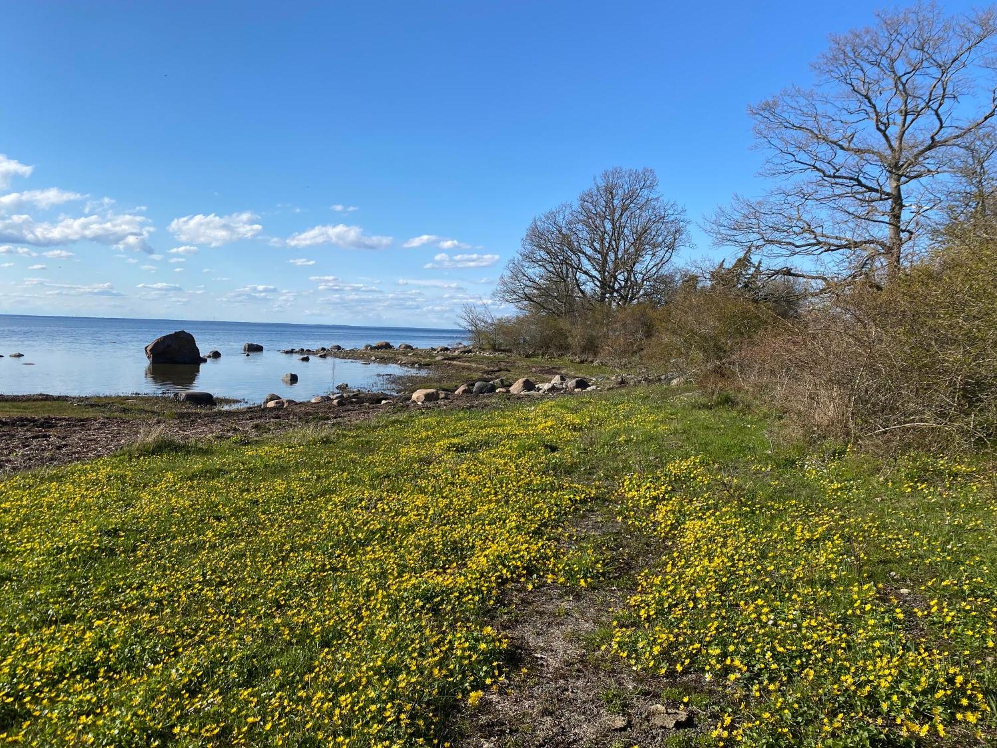 Gård Halltorps hage Borgholm Eksteriør bilde