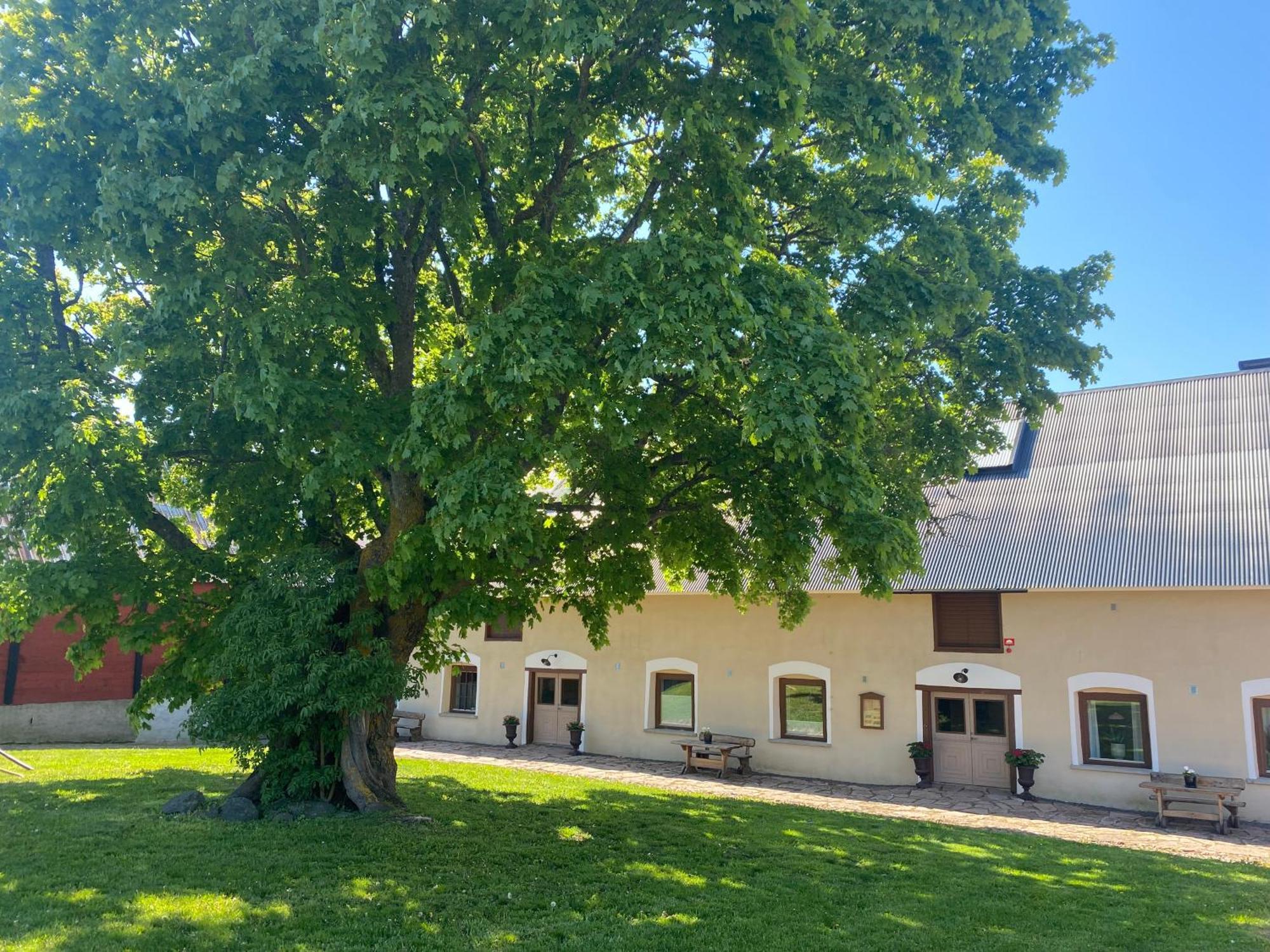 Gård Halltorps hage Borgholm Eksteriør bilde
